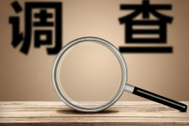 永定企业清欠服务