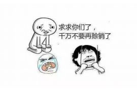 永定企业清欠服务